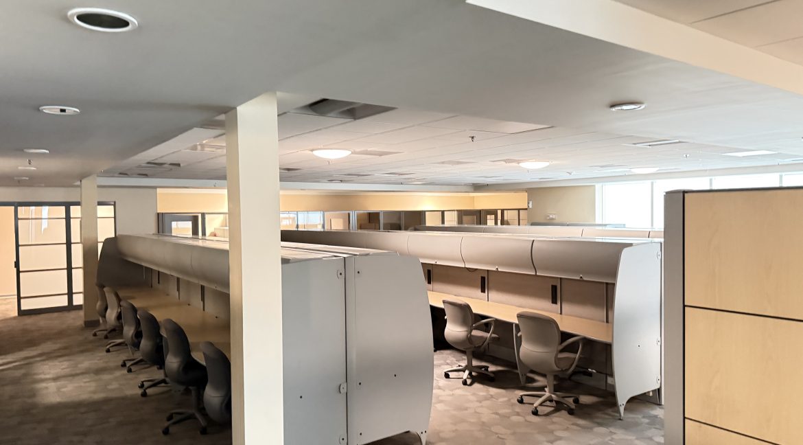IMG_2291